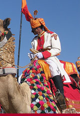  Camel riding 