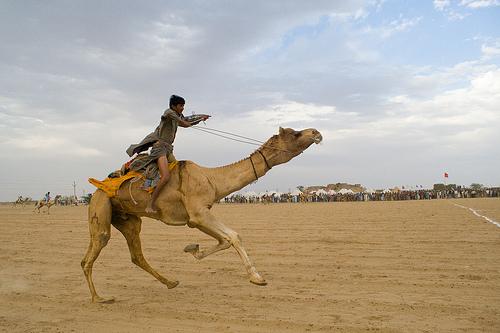  Desert Festival jaisalmer 