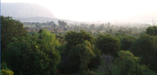 Sariska , alwar 