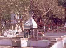  Bhartrihari Temple , alwar 
