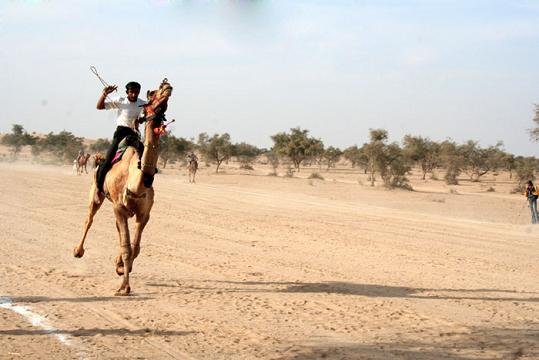  Camel Festival bikaner 
