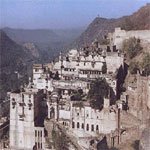 Bijolia
