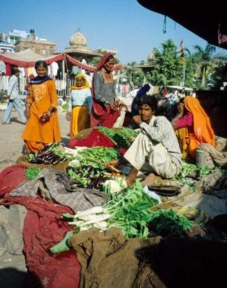  Shopping in churu 