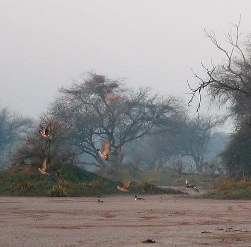  Ramsagar Sanctuary 