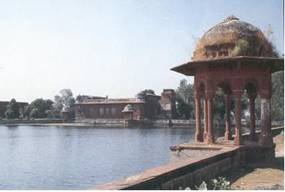  Talab Shahi   