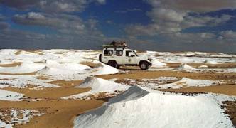   Travel Agents In dholpur 