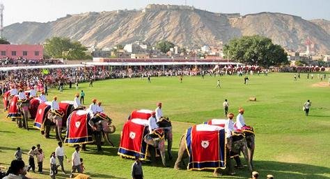  Elephant Festival 