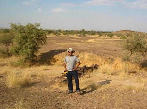 Wood Fossil Park, jaisalmer 