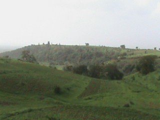  SITA MATA WILD SANCTUARY 